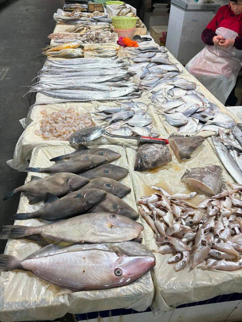 塘鳢多少钱一斤