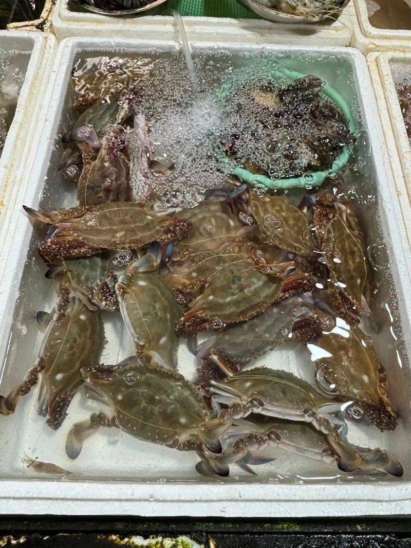 塘鳢多少钱一斤