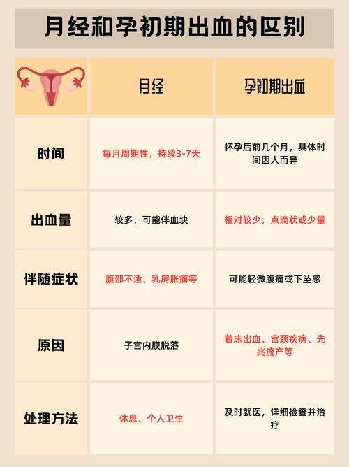 怀孕相关知识