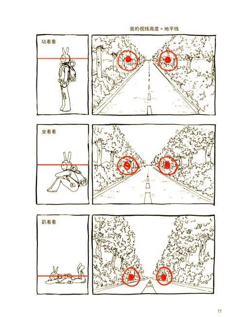 The principles of vision and the way it works