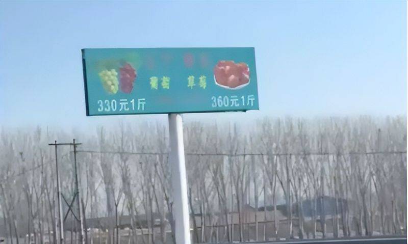 牛奶草莓种植技术