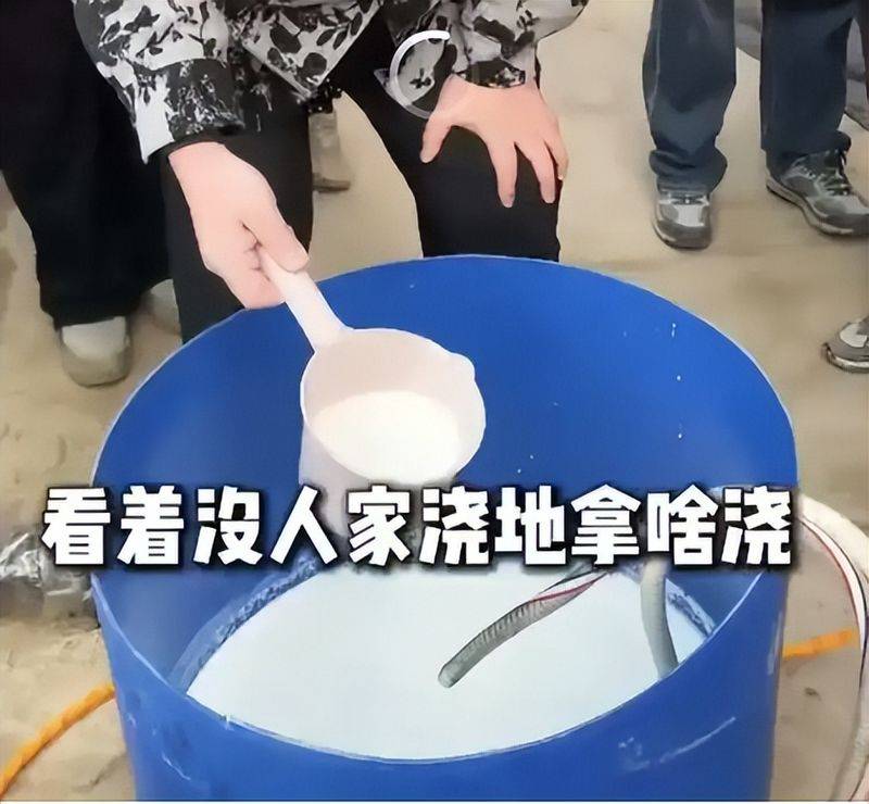 牛奶草莓种植技术