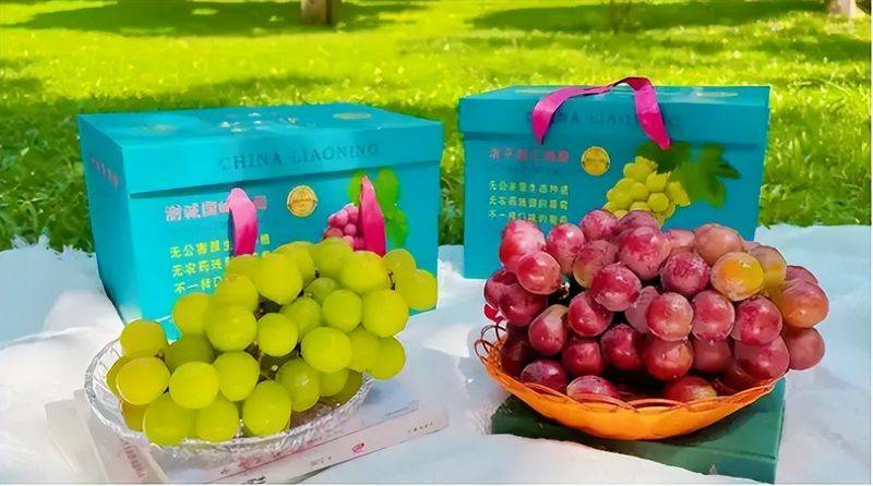 牛奶草莓种植技术