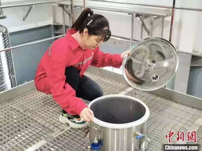 高档葡萄酒种植方法