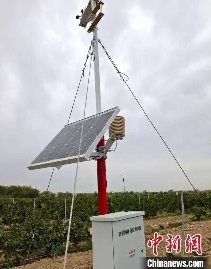 高档葡萄酒种植方法