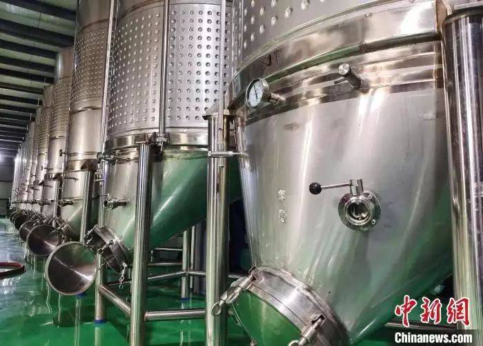 高档葡萄酒种植方法