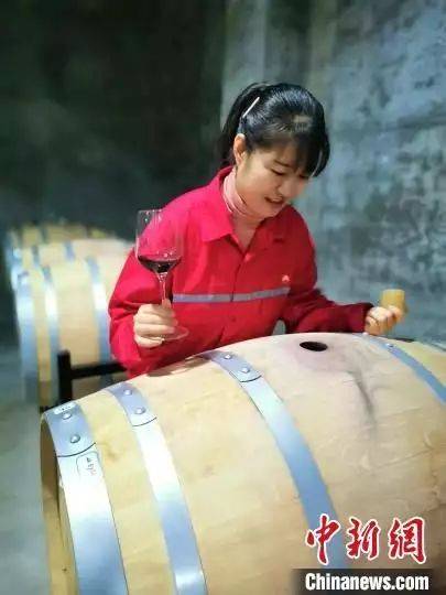 高档葡萄酒种植方法