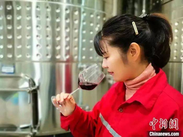 高档葡萄酒种植方法