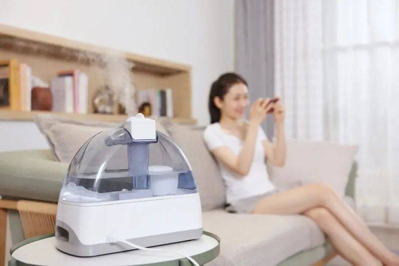 电热加湿器工作原理 加湿器水箱