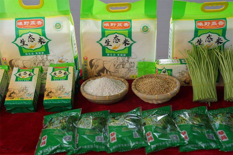 芦蒿最新种植技术