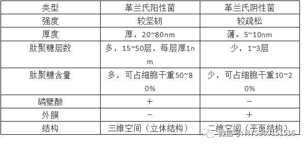 抗生素作用机理