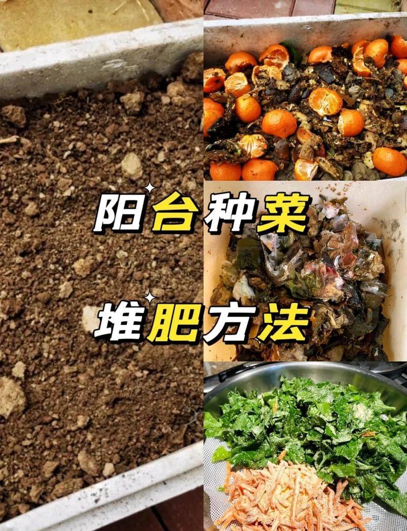 大棚有机蔬菜种植技术