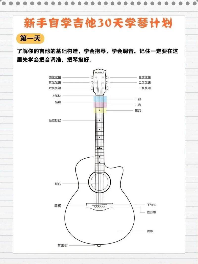 初学电吉他的基础知识