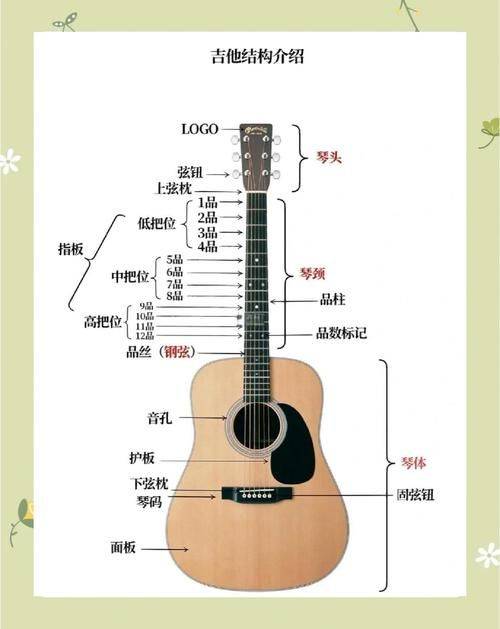 初学电吉他的基础知识