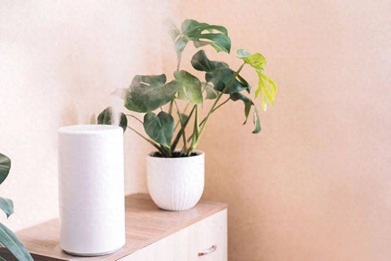 电热加湿器工作原理 加湿器水箱