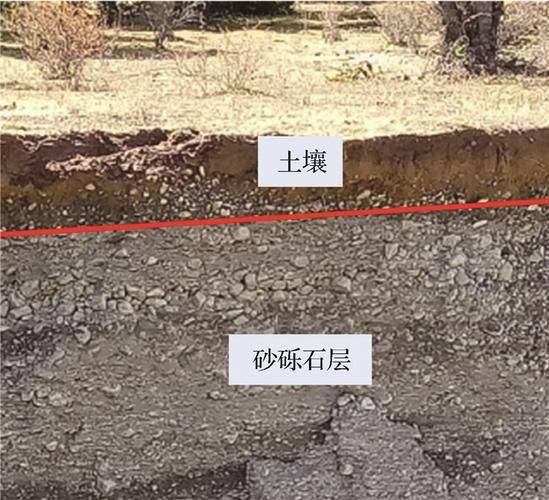 强夯法加固地基的机理