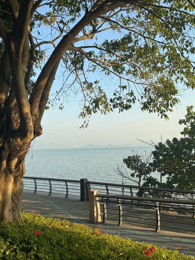 深圳欢乐谷门票多少钱2026