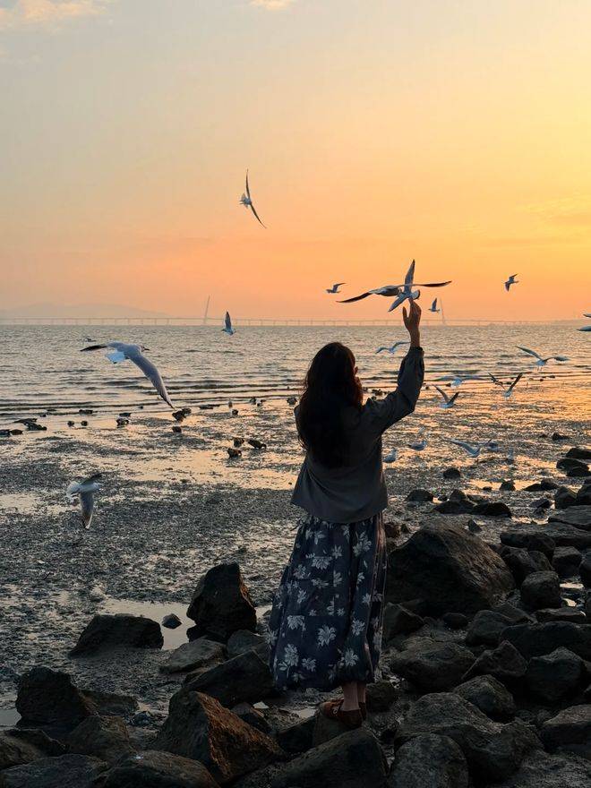 深圳欢乐谷门票多少钱2026