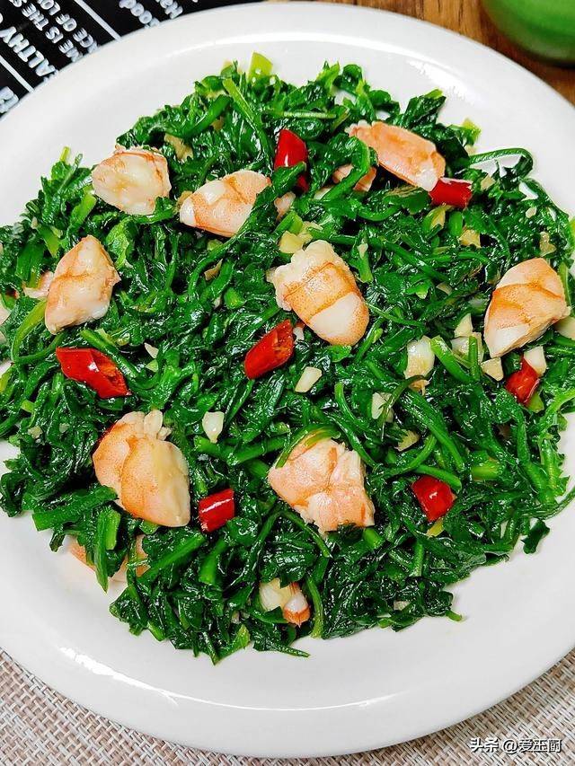 芦蒿最新种植技术