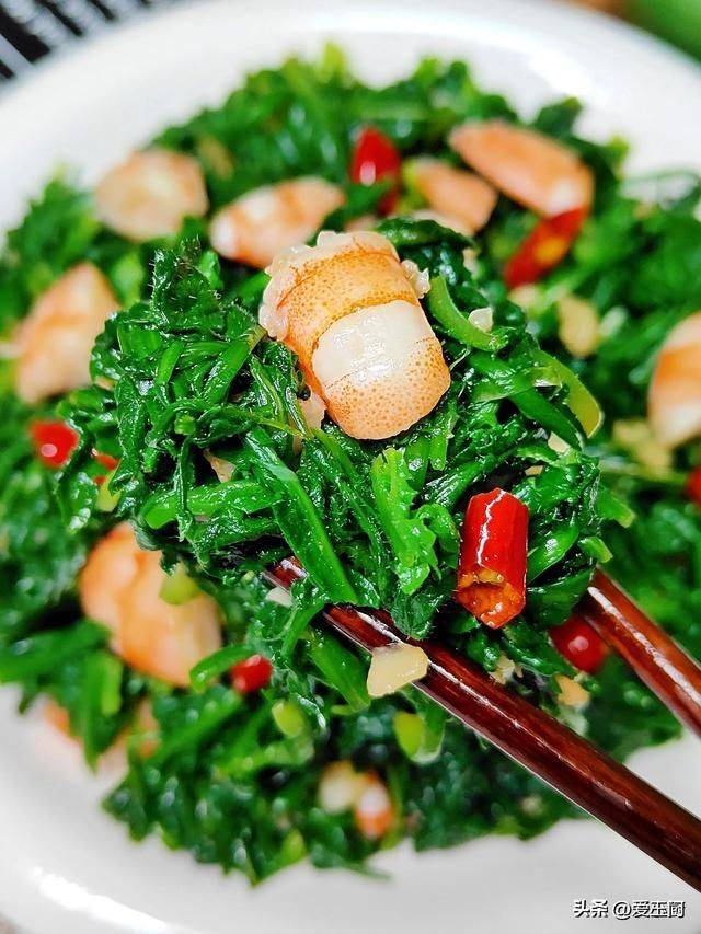 芦蒿最新种植技术