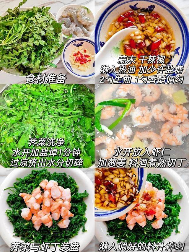 芦蒿最新种植技术