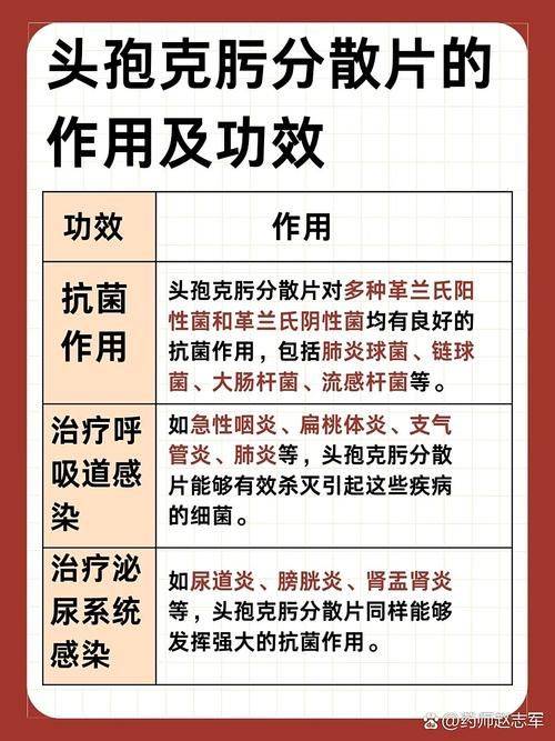 抗生素作用机理