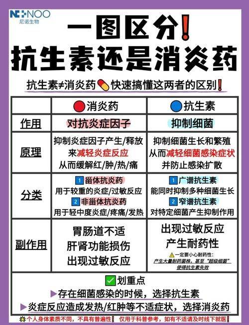 抗生素作用机理