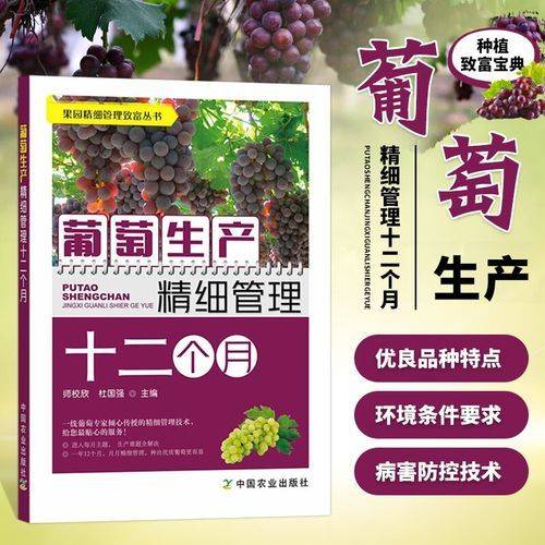 红提葡萄的种植技术