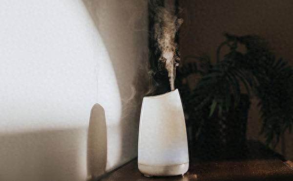 Eh humidifier works