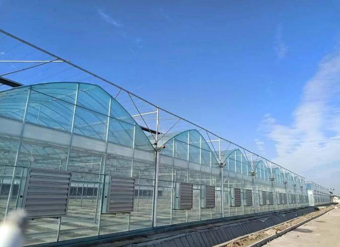 无土大棚蔬菜种植技术