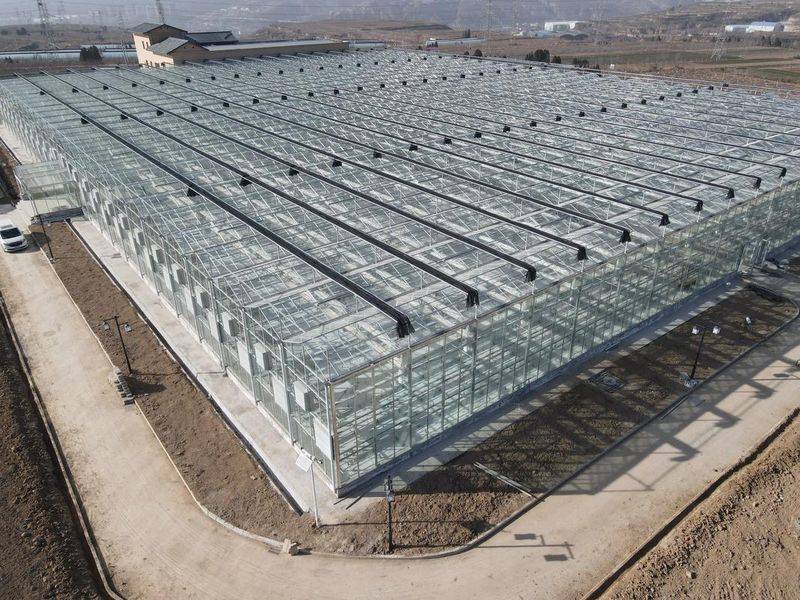 无土大棚蔬菜种植技术