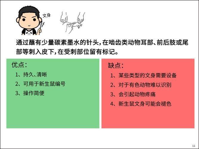 实验动物标记方法