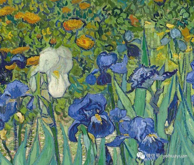 梵高的作品有哪些特点