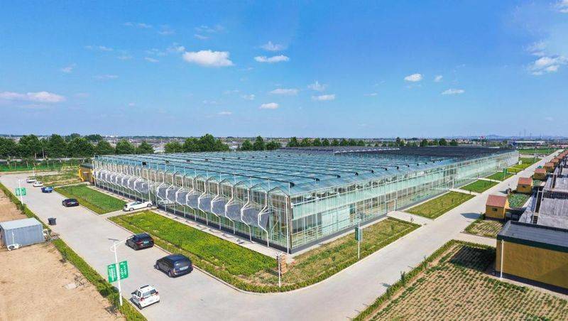 农村蔬菜大棚种植技术