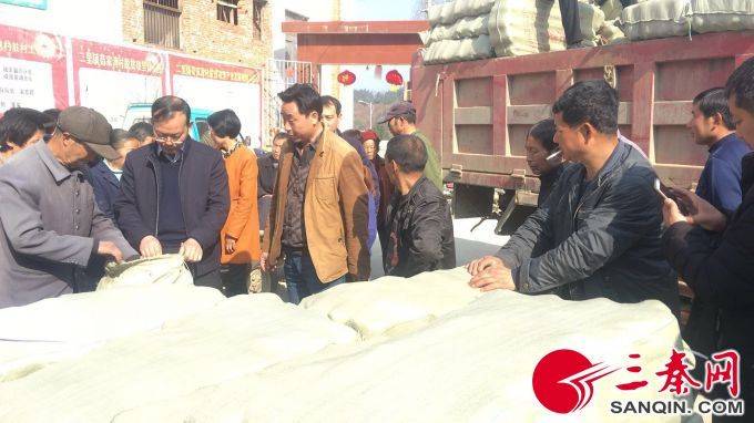 椴木香菇种植技术