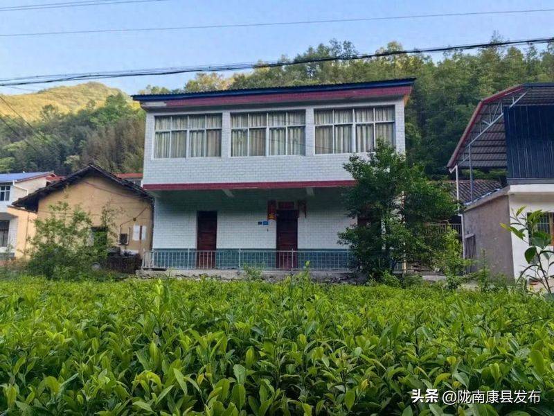 椴木香菇种植技术