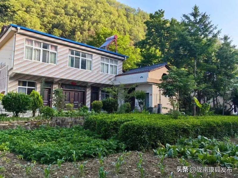 椴木香菇种植技术