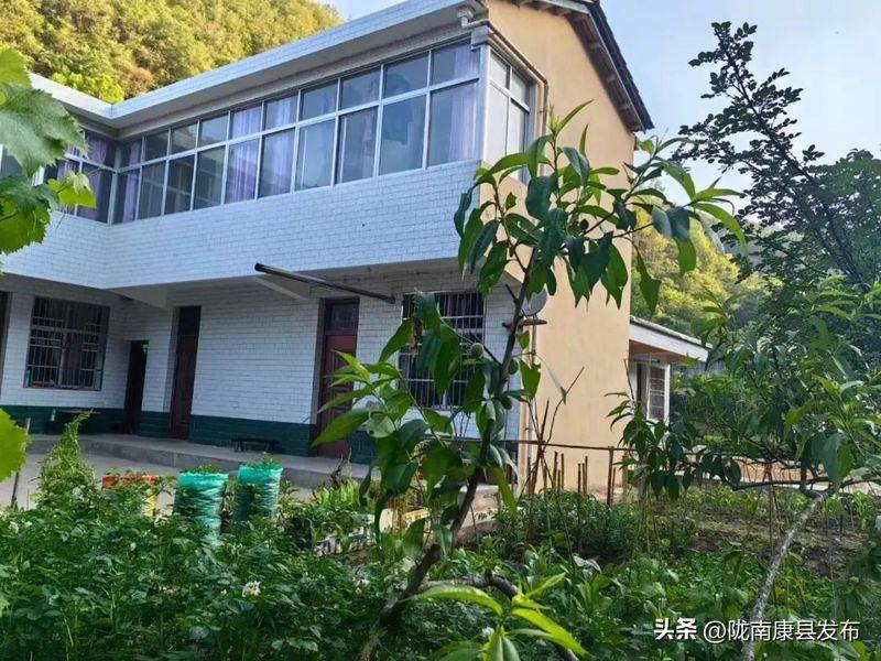 椴木香菇种植技术