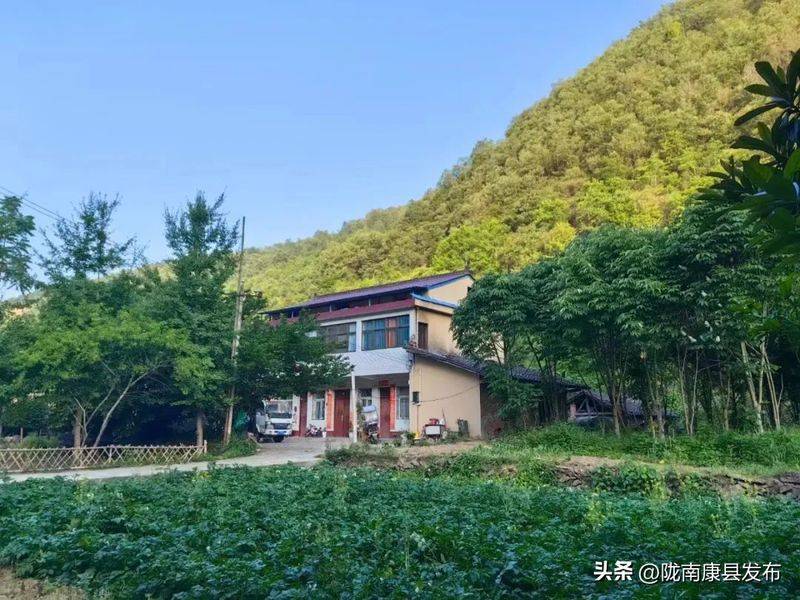 椴木香菇种植技术