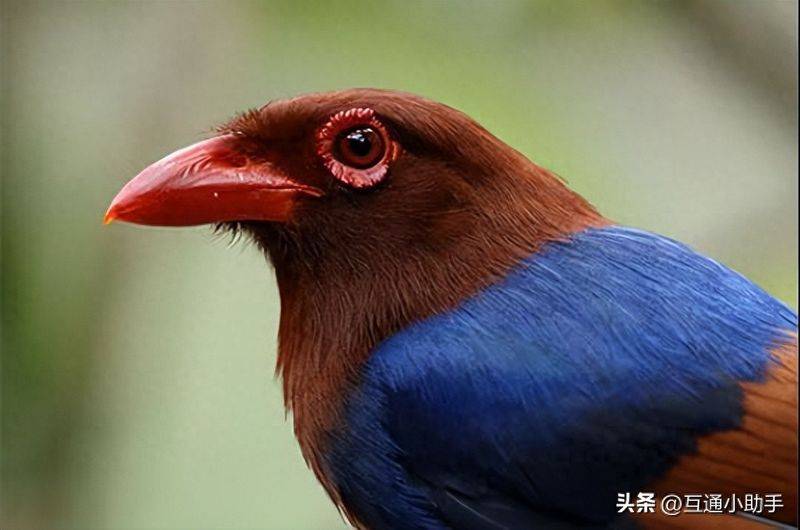 2025年推荐12款佳能数码相机！从新手入门到专业级，选购指南