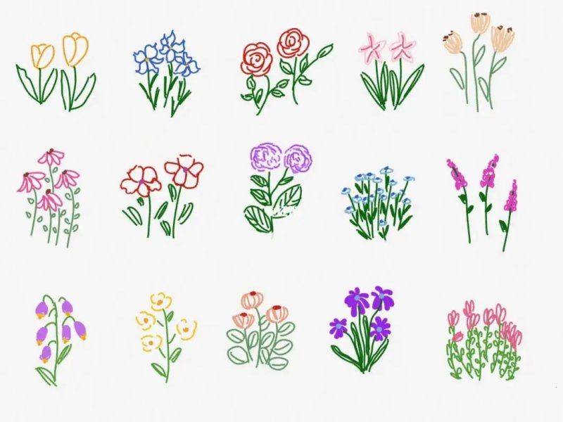 种植什么果树前景好