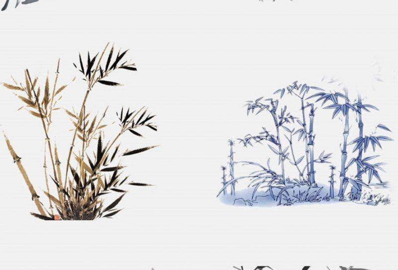 种植什么果树前景好