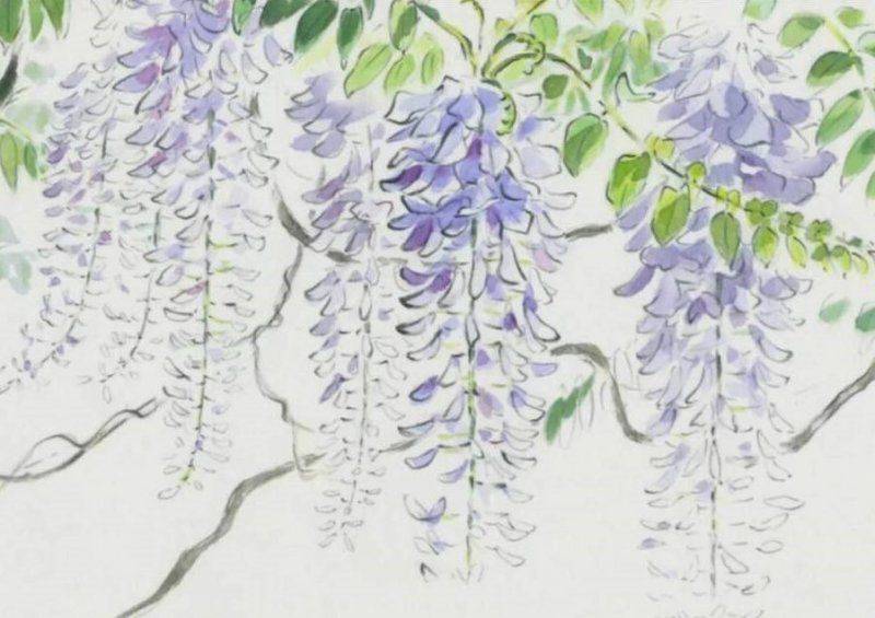 种植什么果树前景好