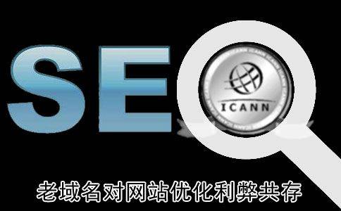 域名对网站排名的影响