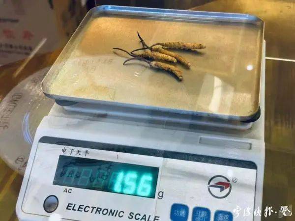 云南虫草种植技术视频