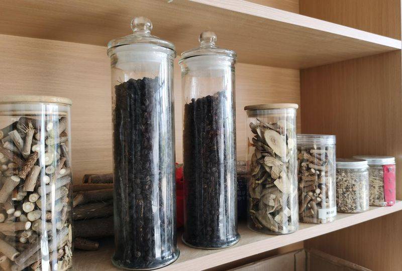 金盾出版社刺五加种植技术图书