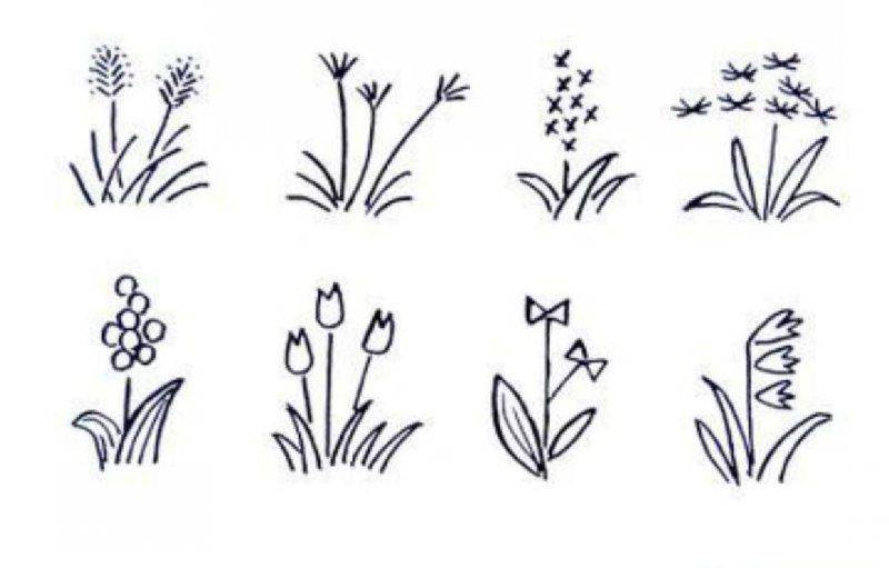 种植什么果树前景好