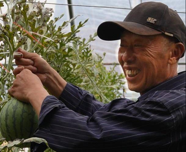 Watermelon planting techniques