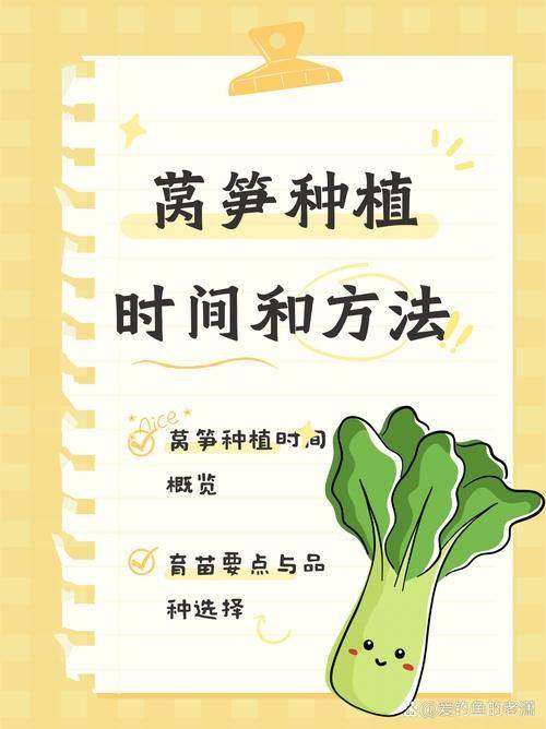 Plantation techniques