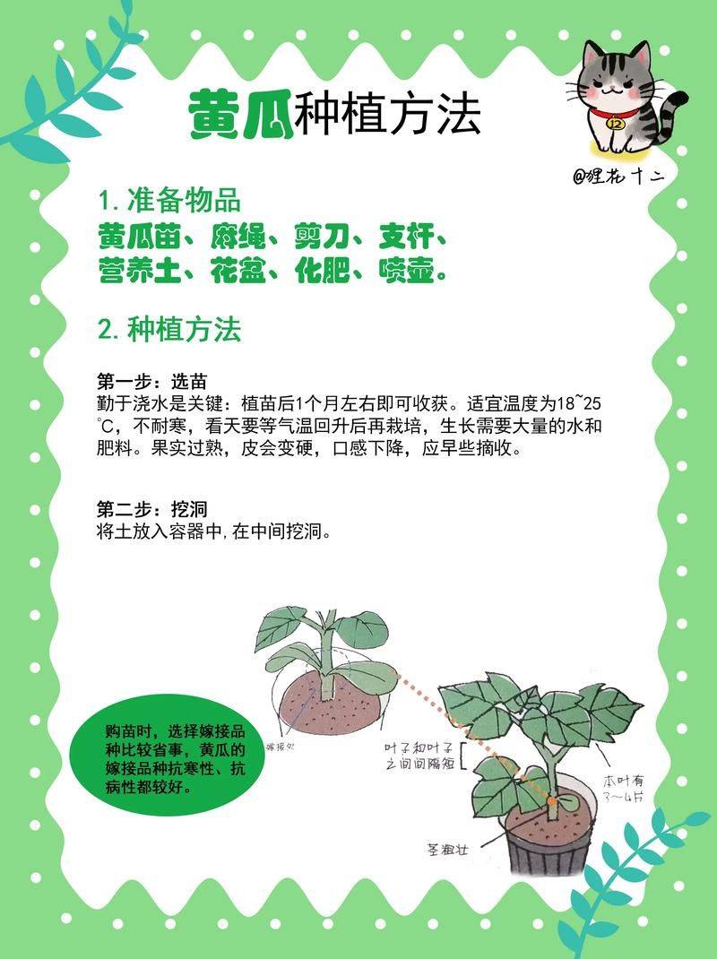 蔬菜种植技术大全